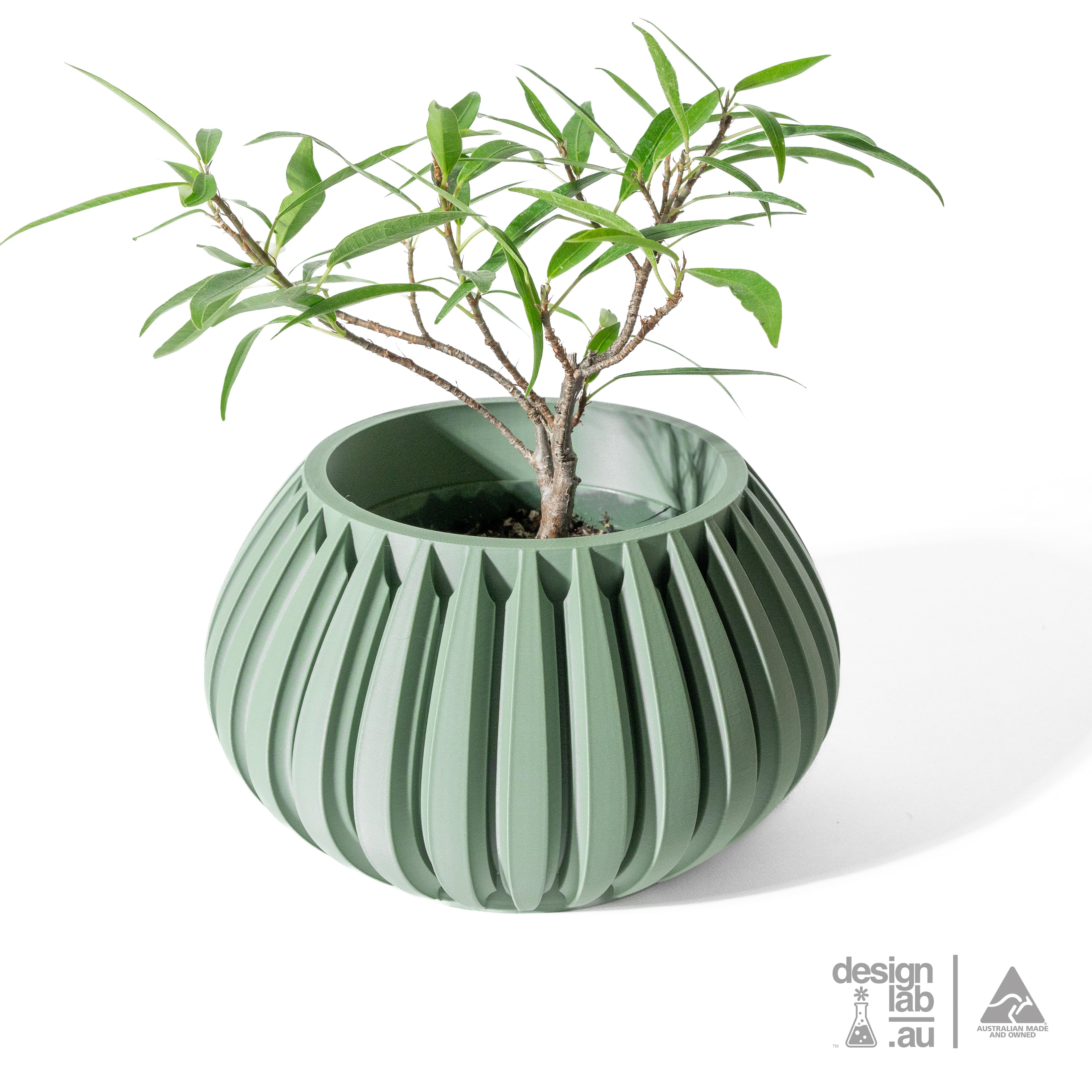LENO Orchid Pot
