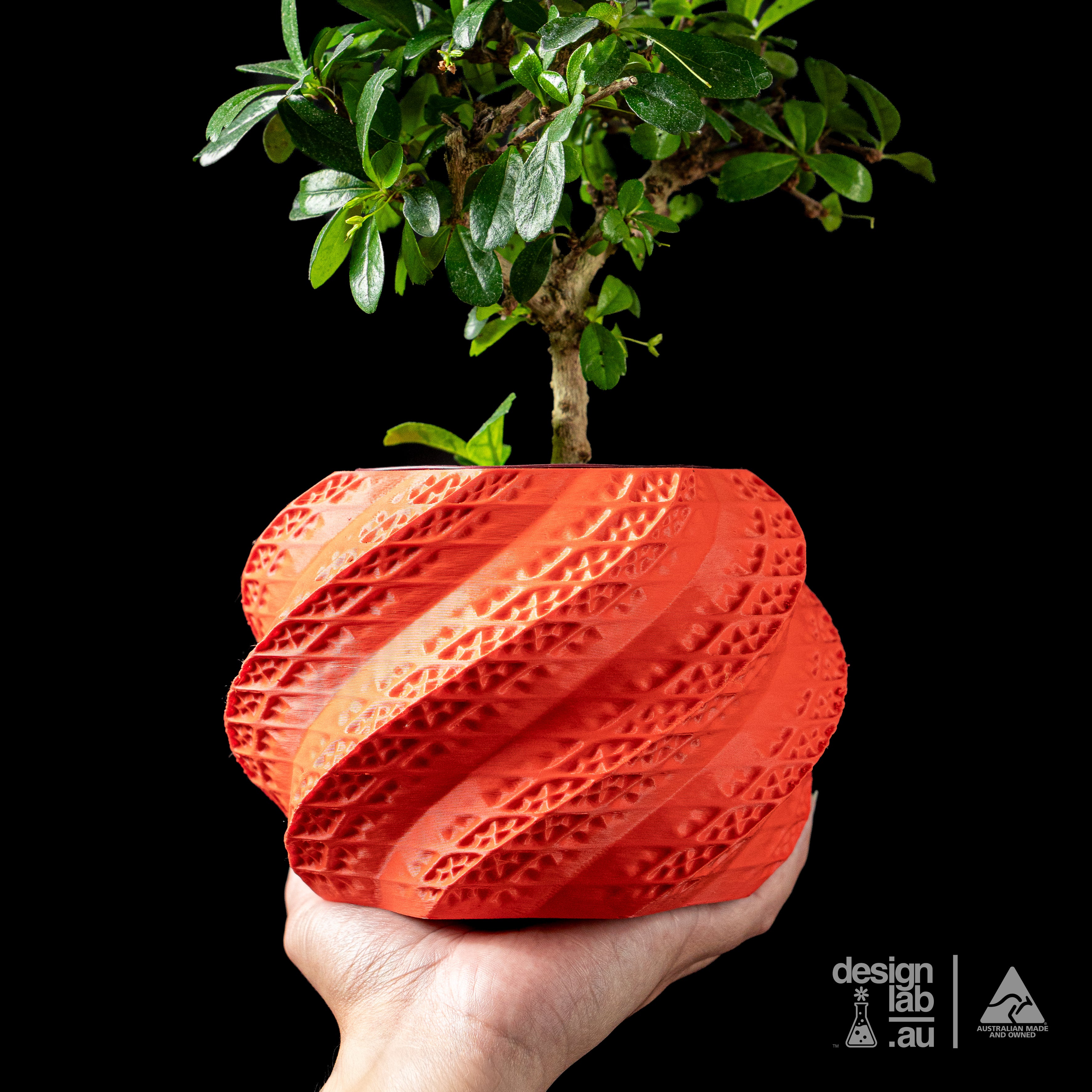 SHELL Planter